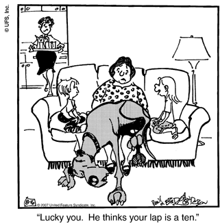 marmaduke